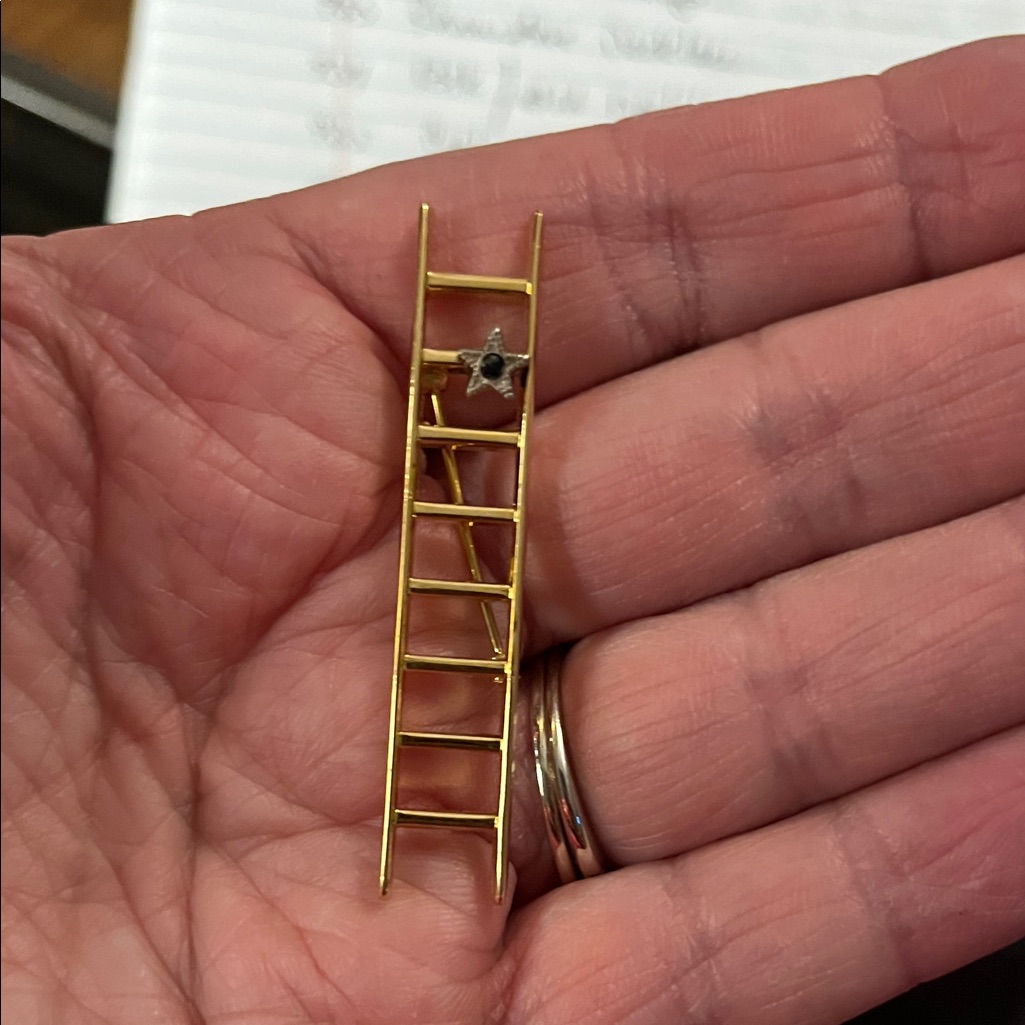 Mary Kay Ladder Brooch With Star Accent 939 12$